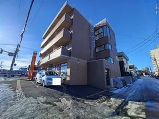 プリムラK2の画像