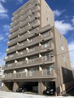 マッシモフェミニール菊水の画像