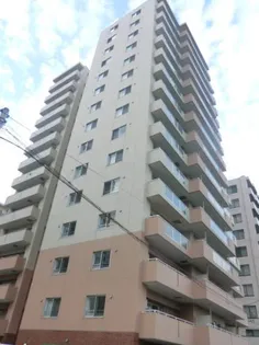 ビッグパレス南12条【11階】の外観