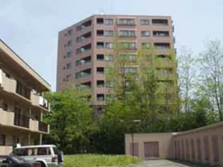 リブウェル真駒内緑町【9階】の外観