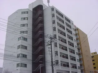 日興パレス東札幌【9階】の外観