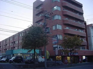 ブルームハイツ豊平【0512号室】の外観