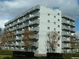 CASAオクムラの画像