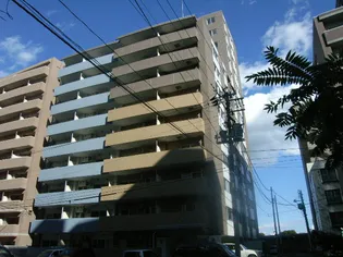 ビッグパレス中島公園【1206号室】の外観