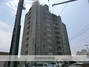 プレインアヴェニューの画像