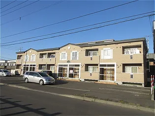 ルピナスの画像