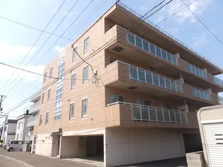 ラフィーコートの画像