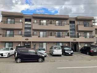 インフィニティ74の画像