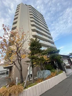 スカイコートの画像