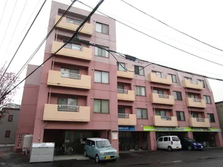 ヴィザージュ菊水【402号室】の外観