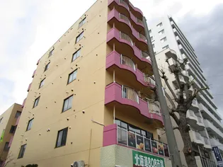 ローヤルハイツ菊水駅【601号室】の外観
