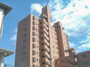 ダイアパレス菊水の画像