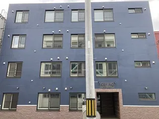 セフィーロ ピラケシの画像