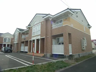 モルエランウィンズBの画像