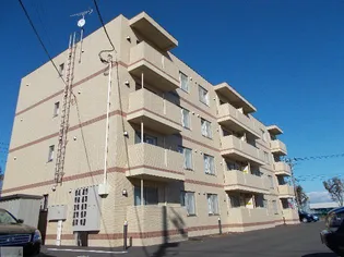 ジラソーレIIIの画像