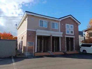 パールオブエビスDの画像