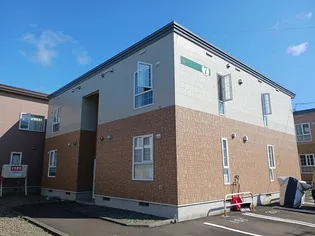 ホークフェザー17の画像