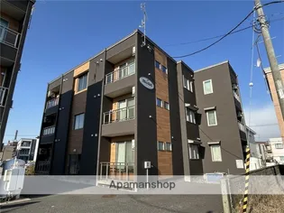 STELLA GRACEの画像