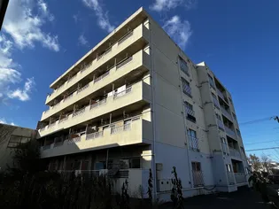 ARIESの画像