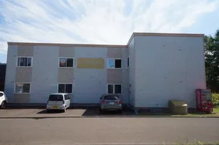 ユーフォルビアの画像