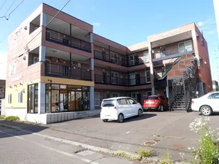 ニューノースの画像