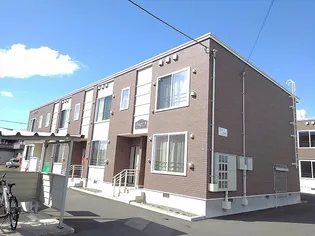 カモミールBの画像