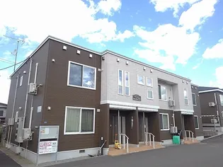 SAVORY COLLINEBの画像