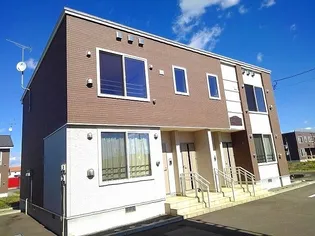 カモミールAの画像