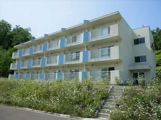 ドリームハイツ【101号室】の外観