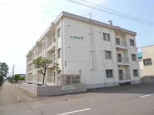 ハイデンス7の画像