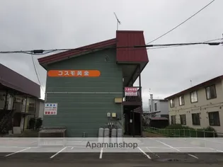 コスモ黄金の画像