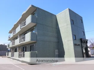 ジョリ ヴェールの画像