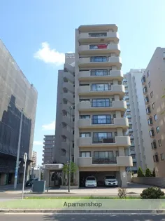 ライオンズヴィアーレ大通【601号室】の外観