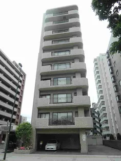 ライオンズヴィアーレ大通の画像