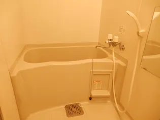 CRANECOURT【802号室】の風呂