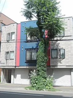 セントニア919Bの画像