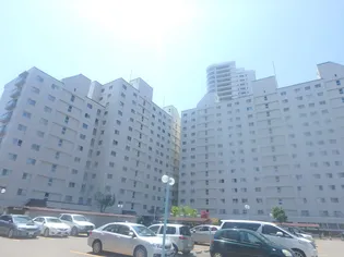 シーアイマンション円山西棟の画像