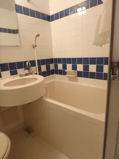 ダイナスティパレス【206号室】の風呂