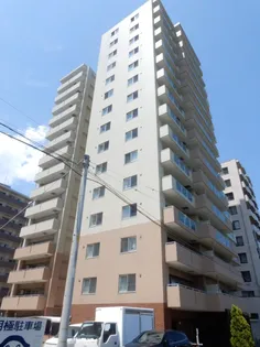 ビッグパレス南12条【12階】の外観