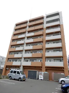 ミカーレ トーゲンの画像