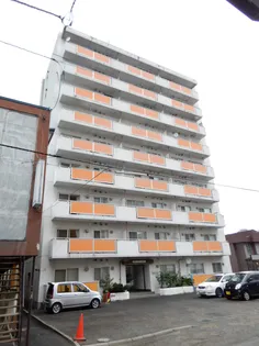 スターコートフォルティス【501号室】の外観