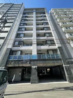 ノヴァ大通の画像