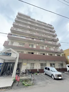 パピリオの画像