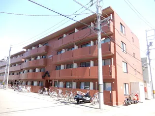 東洋ハイツ A棟【210号室】の外観