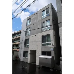 PINO COLLINAの画像