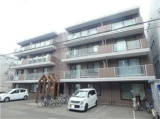 MAHALO OHASHIの画像