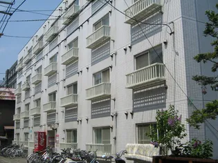 ロイヤルパーク8・12【313号室】の外観