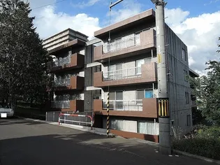 マジェスティック手稲【305号室】の外観