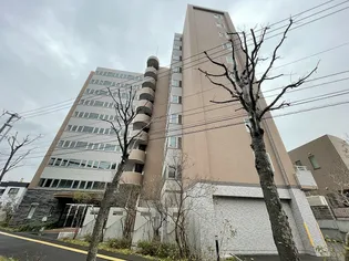 シェイクスピア宮の沢の画像