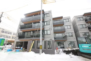 ZIZI QUATREの画像